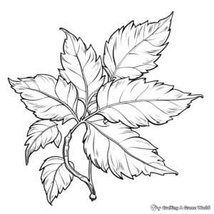 Detailed Ash Leaf Coloring Pages for Adults 4