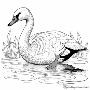 Detailed Australian Black Swan Coloring Pages 4