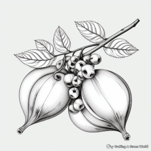 Detailed Avocado Anatomy Coloring Pages 3