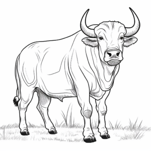 Detailed Cape Buffalo Coloring Pages 3