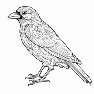 Detailed Crow Coloring Pages for Adults 1
