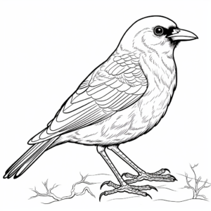 Detailed Crow Coloring Pages for Adults 4