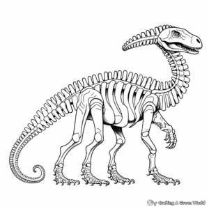 Detailed Diplodocus Skeleton Coloring Pages 4