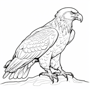 Detailed Golden Eagle for Adults Coloring Pages 4