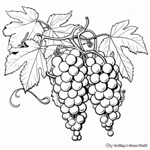 Detailed Grape Vine Coloring Pages for Artists 4