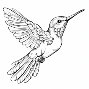Detailed Hummingbird Coloring Pages for Adults 1