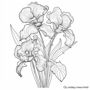 Detailed Iris Flower Coloring Pages for Children 4