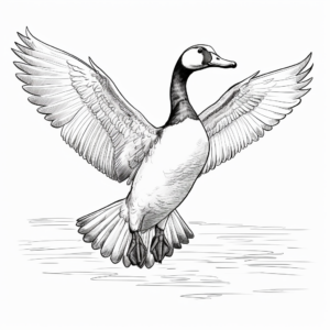 Detailed Loon Wingspan Coloring Pages 4