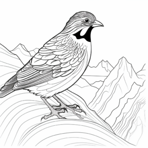 Detailed Mountain Quail Coloring Pages for Adults 2