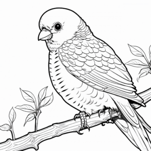 Detailed Quaker Parakeet Coloring Pages for Adults 2