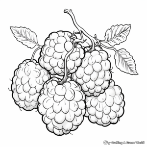 Detailed Raspberry Fruit Anatomy Coloring Pages 4