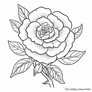 Detailed Rose Flower Coloring Pages 4