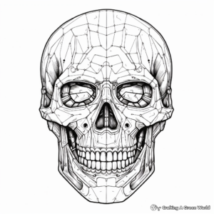 Detailed Skull Head Coloring Sheets for Adults 4