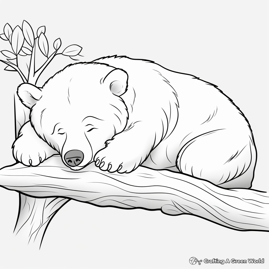 Detailed Sleeping Black Bear Coloring Pages 4