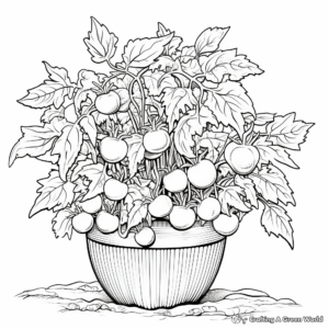 Detailed Tomato Plant Coloring Pages 1
