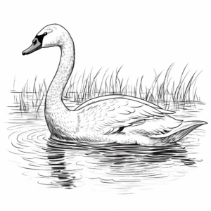 Detailed Tundra Swan Coloring Pages for Adults 4