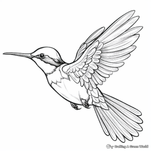 Detailed Violet-Crowned Adult Hummingbird Coloring Pages 2