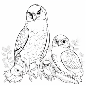 Different Species of Falcons: Educational Coloring Pages 4