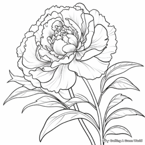 Digital Art Peony Coloring Pages for Adults 3