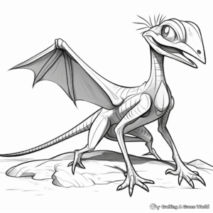 Dimorphodon Fossil Coloring Pages 1
