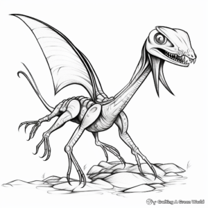 Dimorphodon Fossil Coloring Pages 4