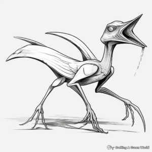 Dimorphodon: Pterosaur Variety Coloring Pages 2