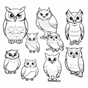 Diverse Species of Owls Including Great Horned Owl Coloring Page 3