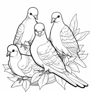 Diversity-Focused: Various Types of Doves Coloring Pages 3