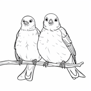 Dove Couple In Love Coloring Pages: Male, Female Doves 4