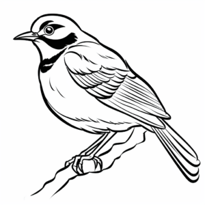 Easy Simple Mockingbird Coloring Pages for Beginners 2
