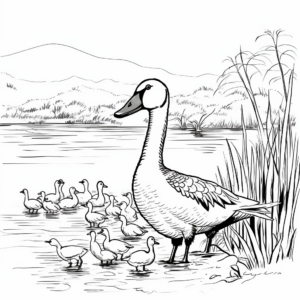 Educational Canada Geese Migration Pattern Coloring Pages 4