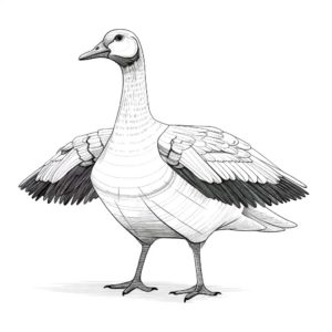 Educational Diagram of Goose Anatomy Coloring Pages 3