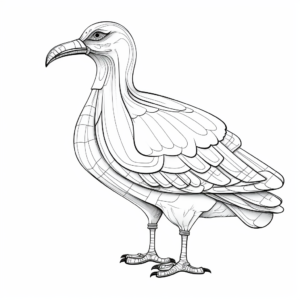 Educational Dodo Bird Anatomy Coloring Pages 2