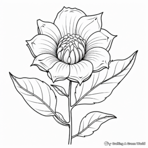 Educational Flower Anatomy Coloring Pages 1
