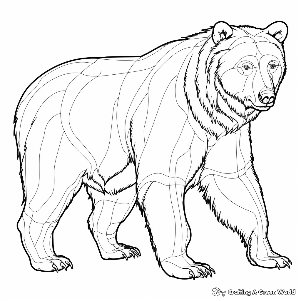 Educational Grizzly Bear Anatomy Coloring Pages 3