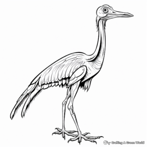 Educational Troodon Skeleton Coloring Pages 3
