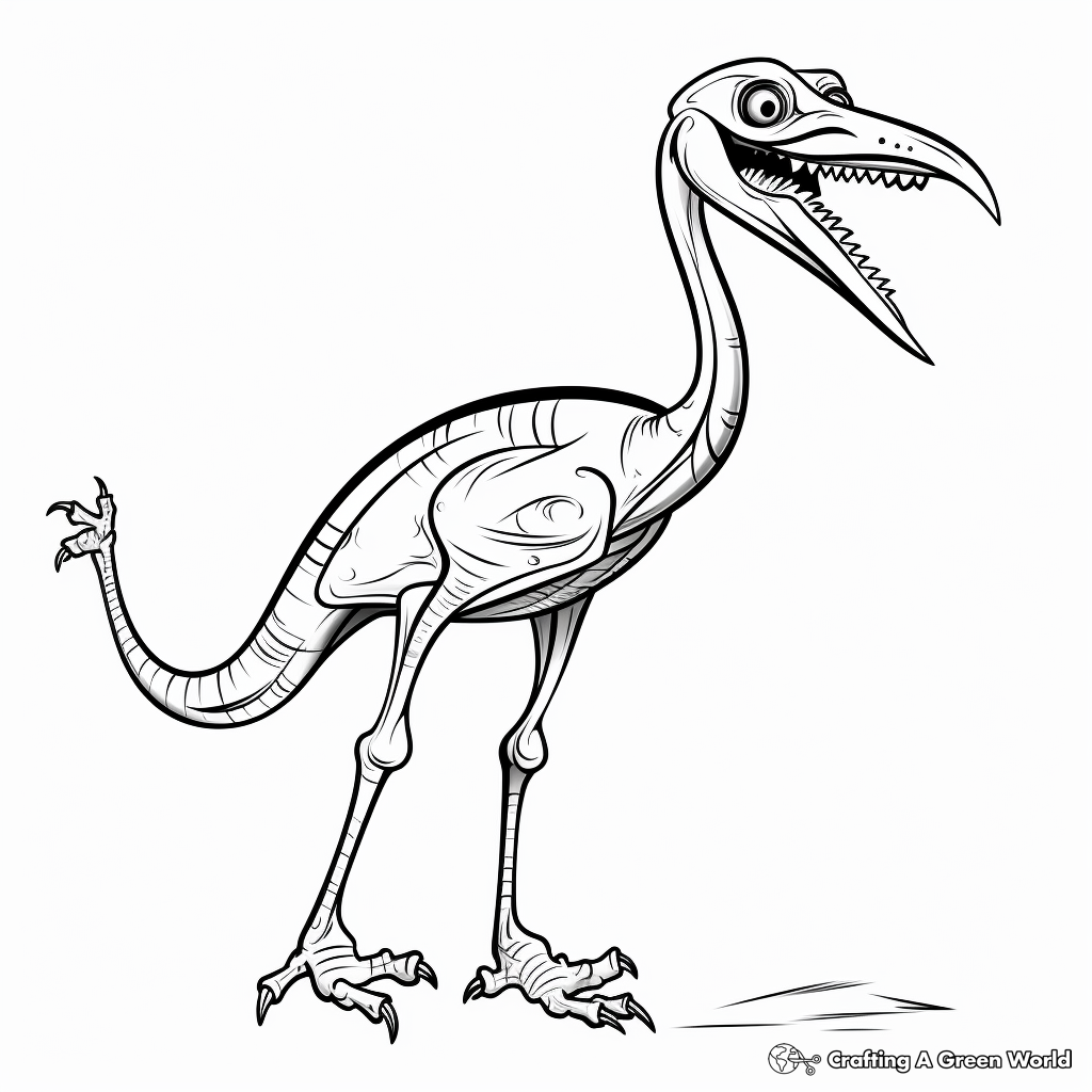 Educational Troodon Skeleton Coloring Pages 4