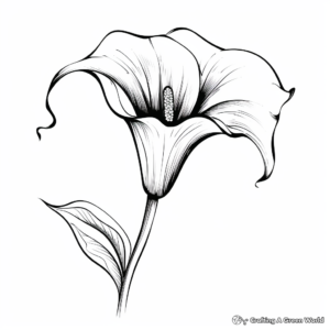 Elegant Calla Lily Coloring Pages for Adults 2