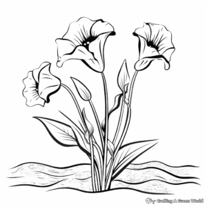 Elegant Calla Lily Coloring Pages for Adults 3