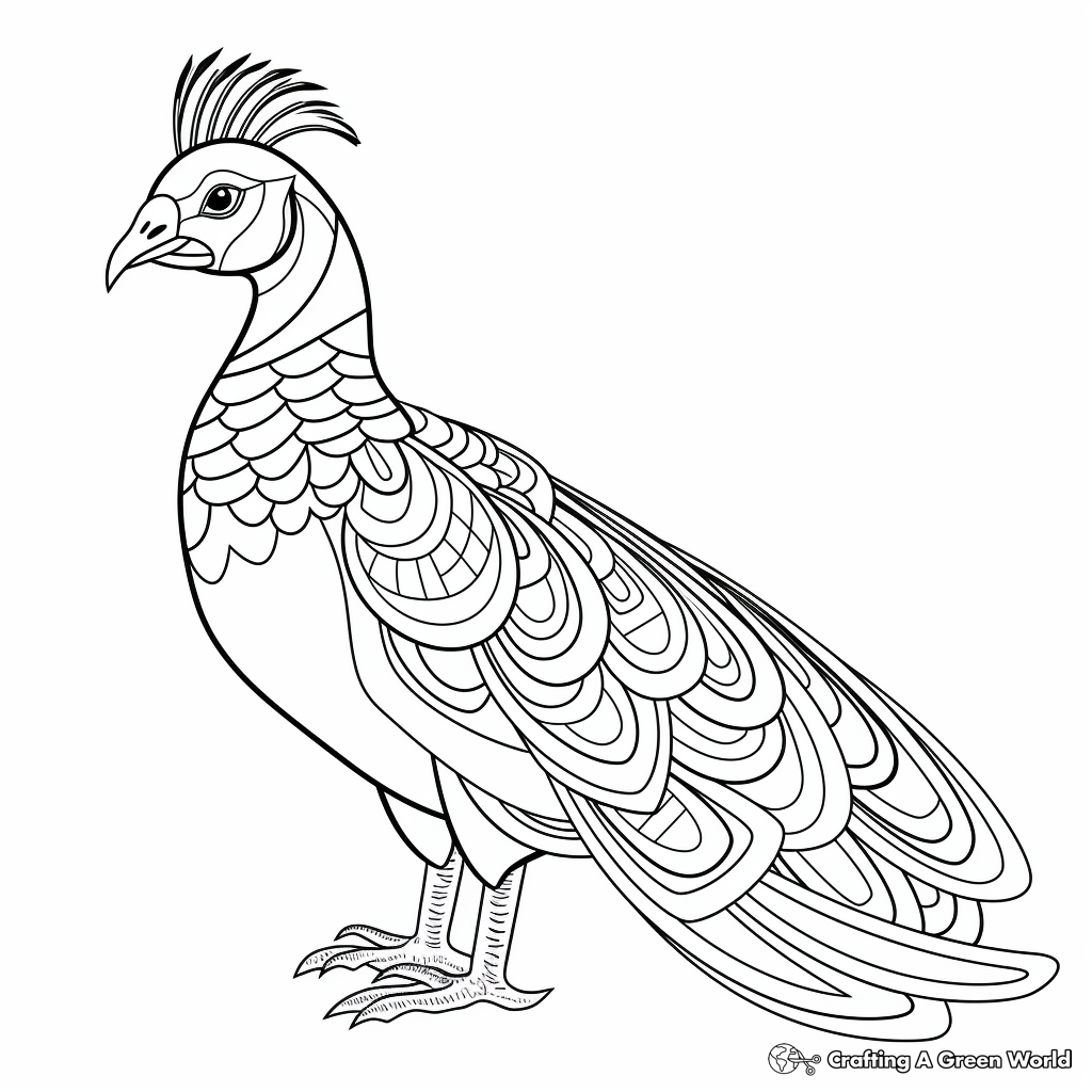Elegant Peacock Pheasant Coloring Sheets 1