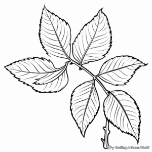 Elm Leaf: Autumn Shades Coloring Pages 2