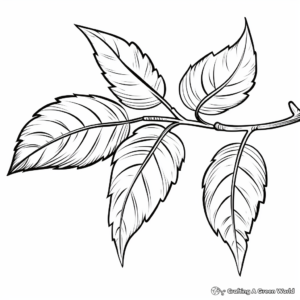 Elm Leaf: Autumn Shades Coloring Pages 3