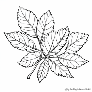 Elm Leaf: Autumn Shades Coloring Pages 4