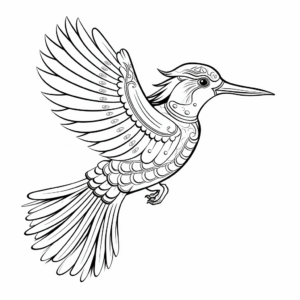 Embellished Kingfisher Coloring Pages 1
