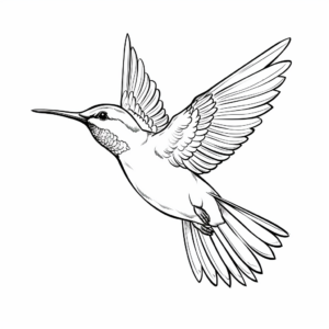 Enchanting Ruby Throated Hummingbird Coloring Pages for All Ages 1