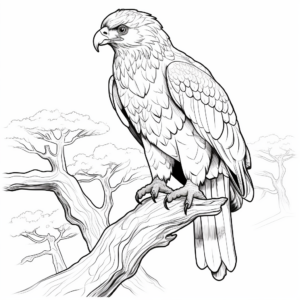 Endangered Golden Eagles Coloring Pages 4