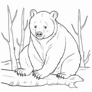 Endangered Species: Northern Hairy-Nosed Wombat Coloring Pages 1