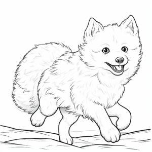 Energetic Arctic Fox in Action Coloring Pages 4