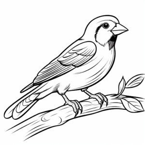 Engaging Spanish Sparrow Coloring Sheets 3
