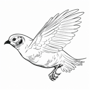 Exciting Quail Flying Coloring Pages 3